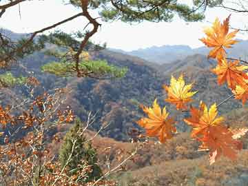 冬日消费“热”起来，冬季消费市场回暖，居民消费热情高涨